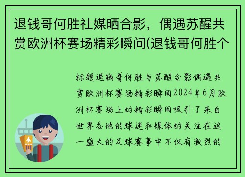 退钱哥何胜社媒晒合影，偶遇苏醒共赏欧洲杯赛场精彩瞬间(退钱哥何胜个人简介)