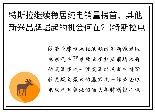 特斯拉继续稳居纯电销量榜首，其他新兴品牌崛起的机会何在？(特斯拉电动车销量2020)