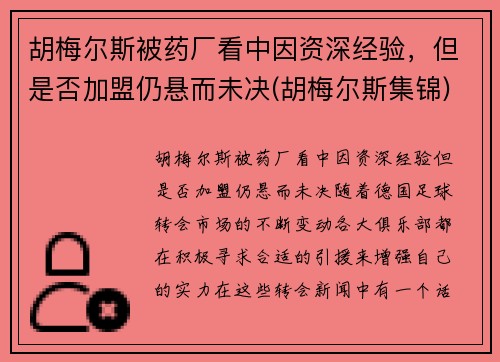 胡梅尔斯被药厂看中因资深经验，但是否加盟仍悬而未决(胡梅尔斯集锦)
