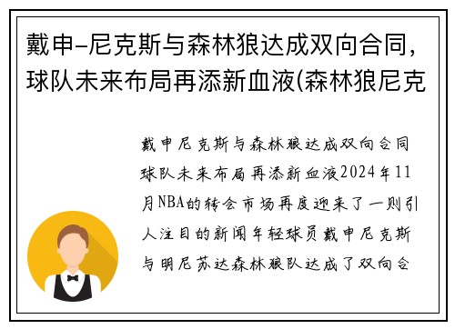 戴申-尼克斯与森林狼达成双向合同，球队未来布局再添新血液(森林狼尼克斯常规赛视频)